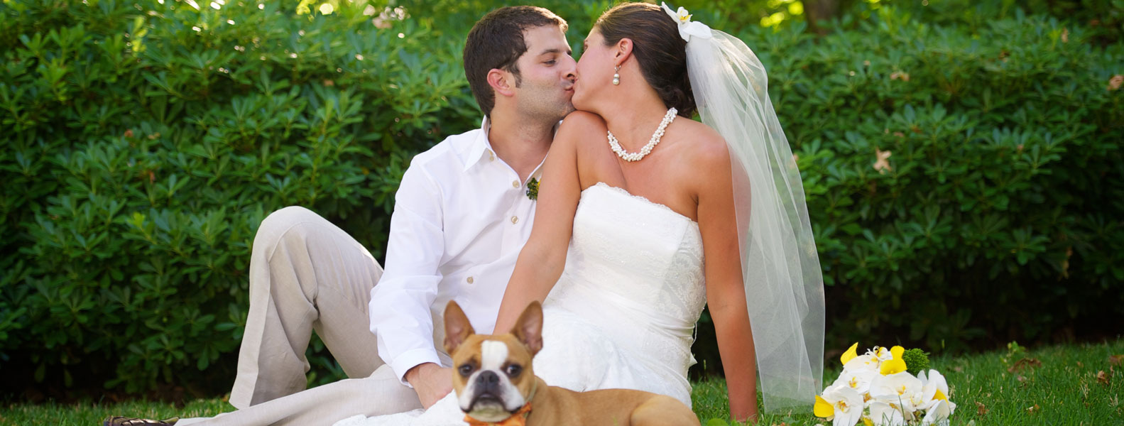 云呼死你轰炸免费网页平台